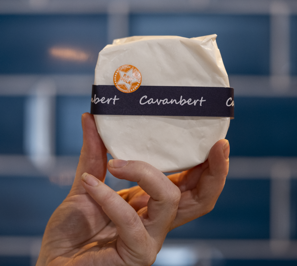 Cavanbert - Irish Cheese Spotlight 1 Cavanbert Indie Fude 1