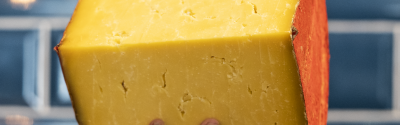 What’s On Our Table This September