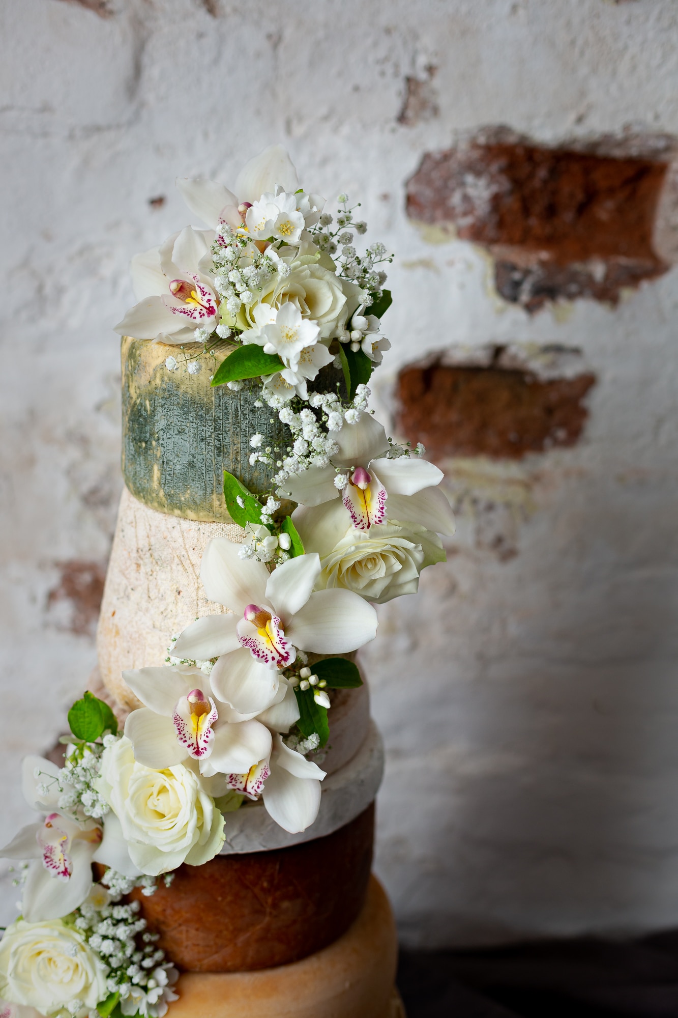 IF Cheesecakes LR 40 of 101 1