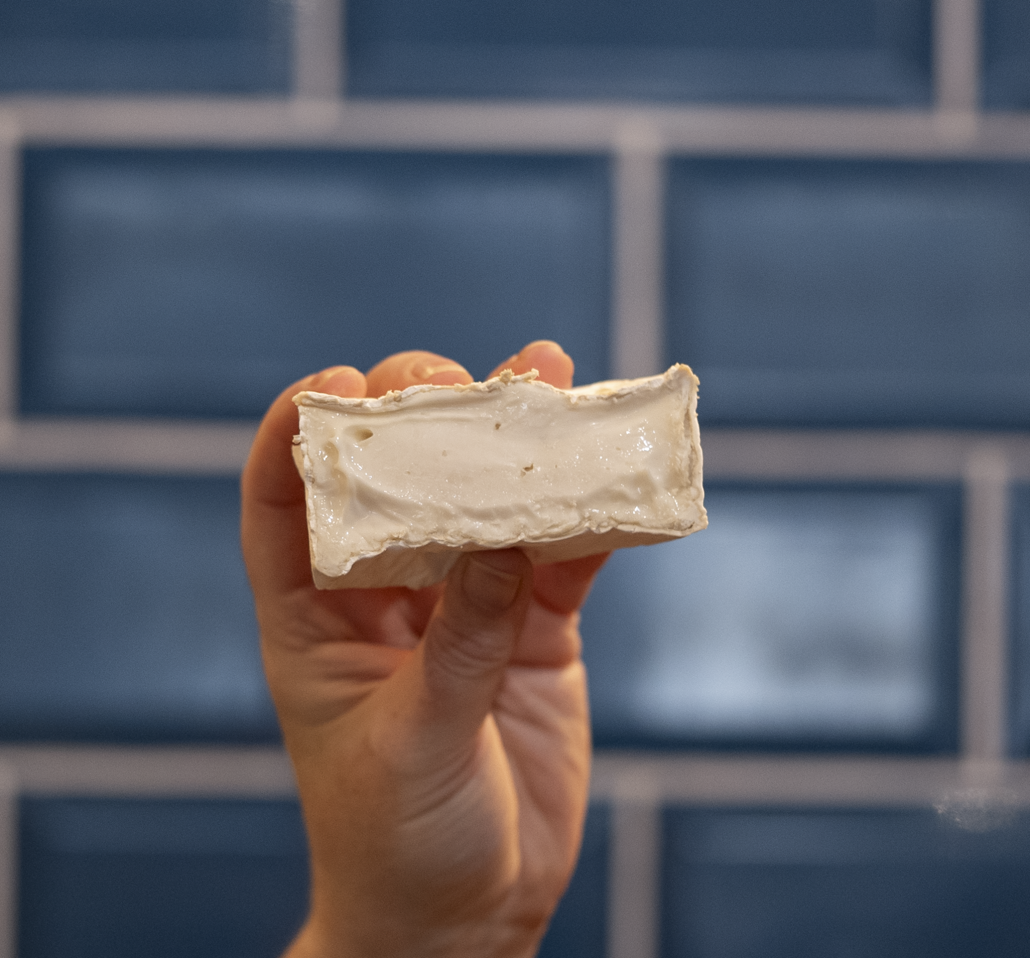 Gortnamona Indie Fude 2 DSC03697