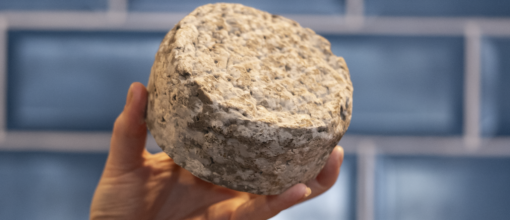 🧀 Celebrating Irish Cheese – The Heart of Every Cheeseboard 🙌🏼